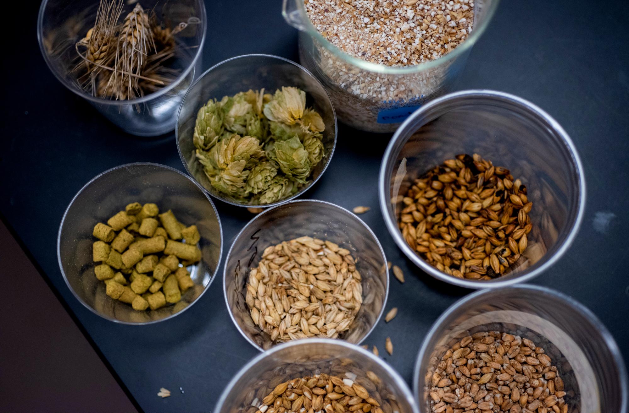 ingredients to brew beer.